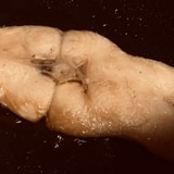 あぶらカレイの煮付け レシピ 作り方 By 影山美咲 楽天レシピ あぶらカレイの煮付け レシピ 作り方 By 影山美咲 楽天レシピ